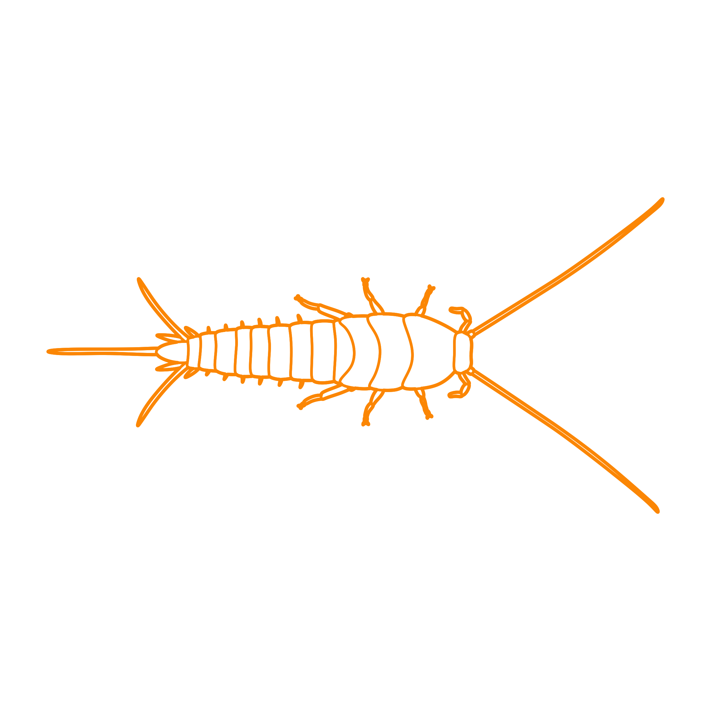 Animals Insects Silverfish Outline Icon Svg Set Free Vectors